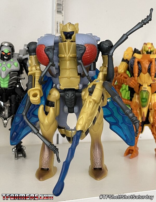 Beast Wars Fox Kids Repaints   TFShelfShotSaturday  (9 of 11)